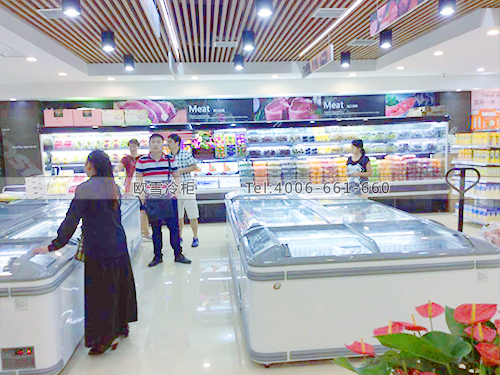 B425湖北武漢愛寶稅進(jìn)口商品交易中心超市冷柜
