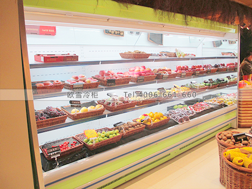 B289廣西南寧花果山果園冷柜冰柜