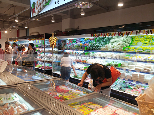 B219上海浦東康品匯生鮮店冷柜冰柜