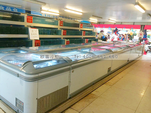 B424四川成都天天海鮮冷凍展示柜