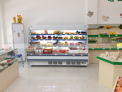 B210湖南湘潭聚果堂水果超市冷柜冰柜