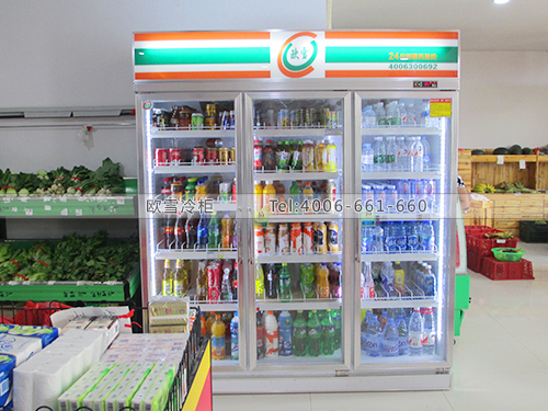 B394廣西南寧悅客超市三門(mén)冰柜冰柜