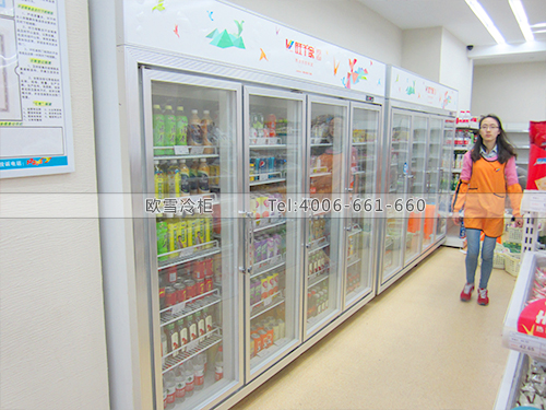 B273浙江寧波千家零食驛站冷柜冰柜