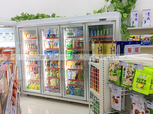 B338四川成都蓉城超市冷藏冷柜