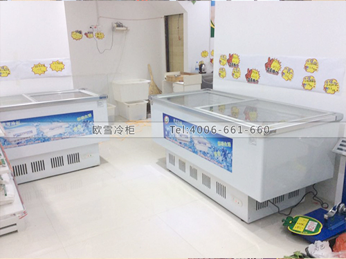 B402湖北武漢天天鮮超市冷柜