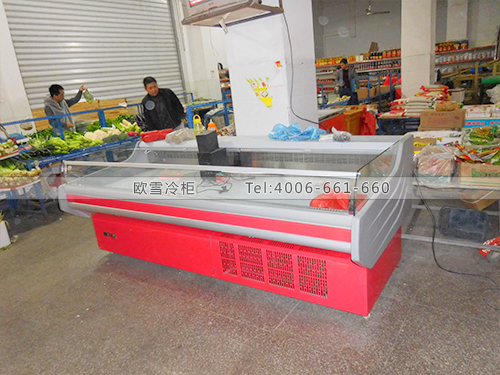 B298福建廈門惠佳福副食百貨冷柜冰柜