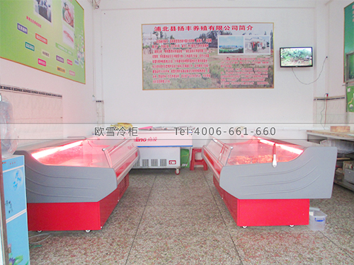 B278廣西欽州鴻發(fā)市場鮮肉冷柜