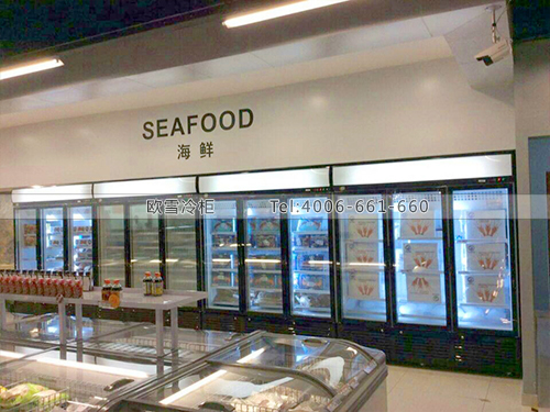 B389重慶江北DIG進口超市冷藏冷凍柜