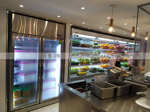 B196湖南省長(zhǎng)沙市天心區(qū)果呀呀水果冷藏柜