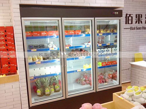 B292湖南長沙開福區(qū)百果匯水果店冷柜冰柜