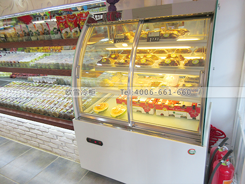 B286北京朝陽水果學院冷柜冰柜