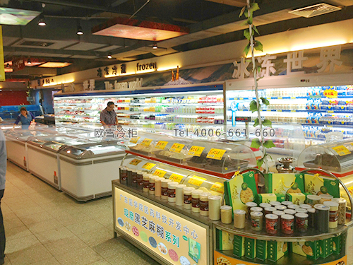 B258惠州惠城民樂(lè)福超市冷藏保鮮柜