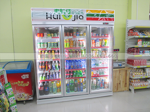 B290廣西南寧惠購佳超市冷柜