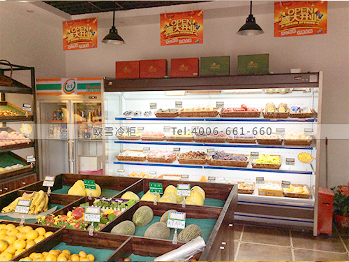 B249湖北武漢優(yōu)+果品水果店冰柜冷柜