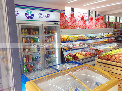 B195湖南長(zhǎng)沙紫青藍(lán)超市冷柜