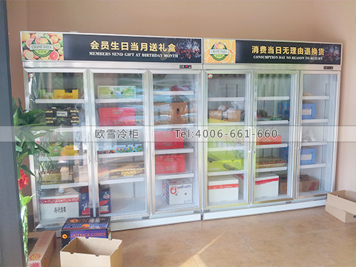 B261上海松江進口果品水果冷藏保鮮柜