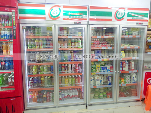 B210上海迪亞天天超市冷柜