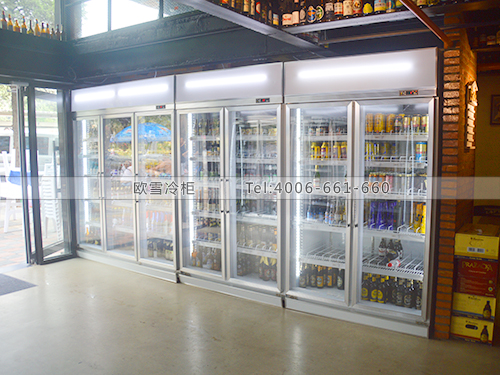 B418北京豐臺(tái)勞夫特啤酒超市冰柜冷藏展示柜