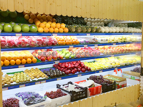 B423湖北武漢江夏果珍田園水果保鮮柜