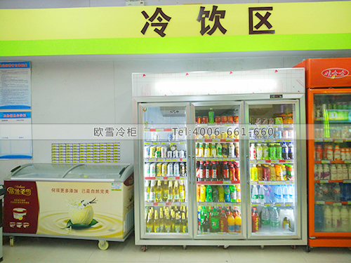 B447廣西南寧和潤生活超市冷柜