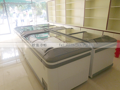 B459福建廈門(mén)思明區(qū)蒙特潤(rùn)草原牛羊肉超低溫冷凍柜