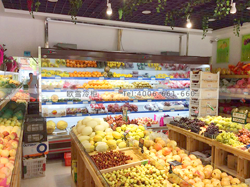 B435湖北黃岡浠水鮮甜精品水果行冷柜冰柜