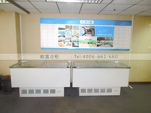 B519北京朝陽臥式冷凍冷藏柜