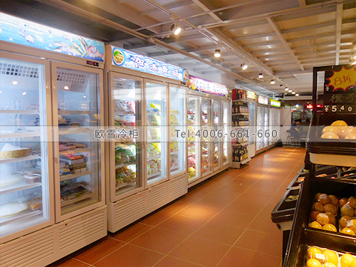 B458福建泉州豐澤尚德體驗(yàn)店超市冷柜