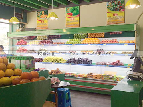 B446廣西南寧果果味水果保鮮柜
