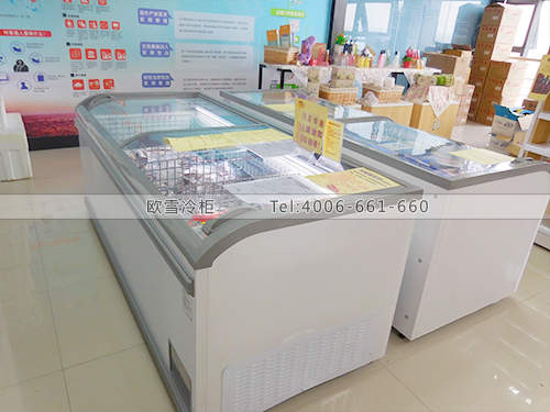 B441四川成都雙流EAF國際進(jìn)口商品直采中心超市冷柜