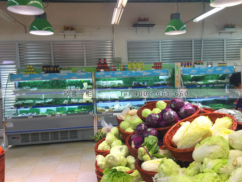 B495廣東省深圳市龍崗區(qū)天虹商場蔬菜保鮮展示柜
