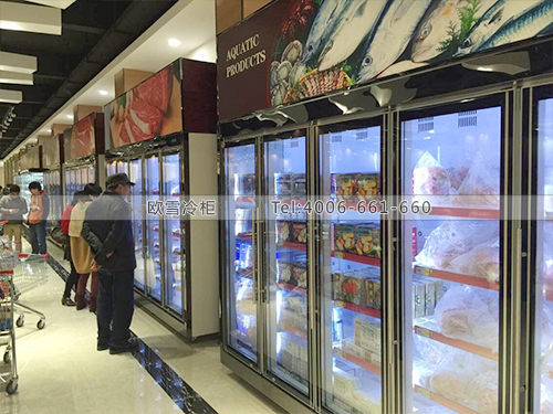 B492湖北武漢經(jīng)發(fā)保稅商品交易中心冷柜冰柜