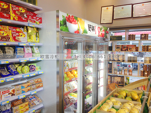 B501福建福州鼓樓區(qū)野鮮生鮮超市冷柜