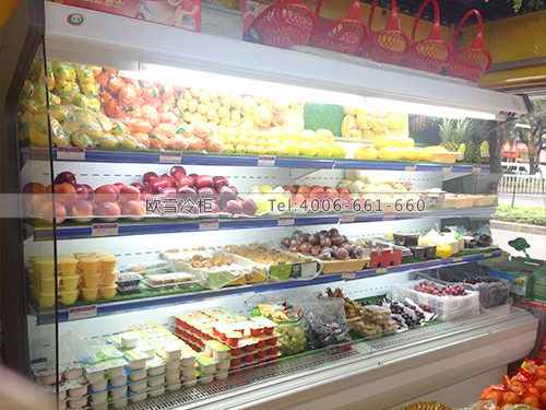 B506福建福州旺福樂水果保鮮柜