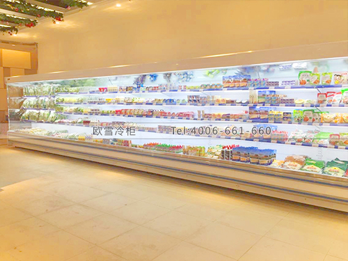 B527浙江寧波億彩購(gòu)物中心冷柜冰柜