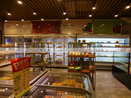 B566福建省廈門市集美區(qū)天樂仕超市冷柜