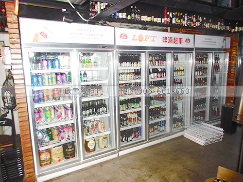 B554北京豐臺(tái)loft勞夫特啤酒超市冷柜冰柜