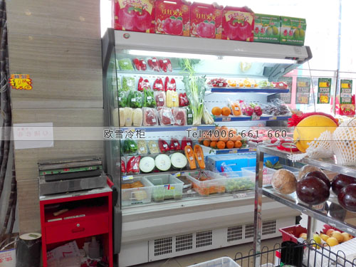 B560四川省資陽市簡陽永惠超市水果蔬菜冰柜