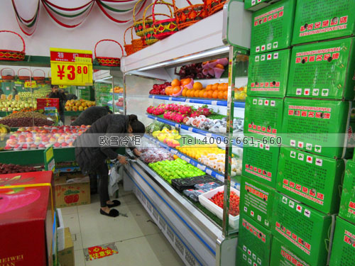 B558四川成都果果樂(lè)保鮮展示柜