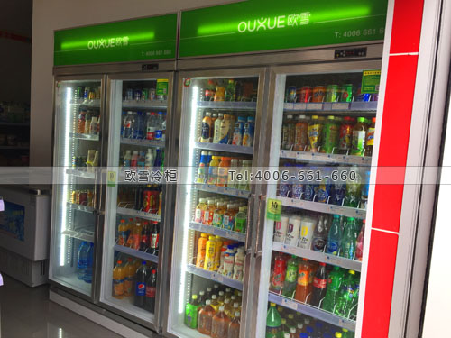 B735湖南省長沙市蔚然錦和連鎖超市冷柜
