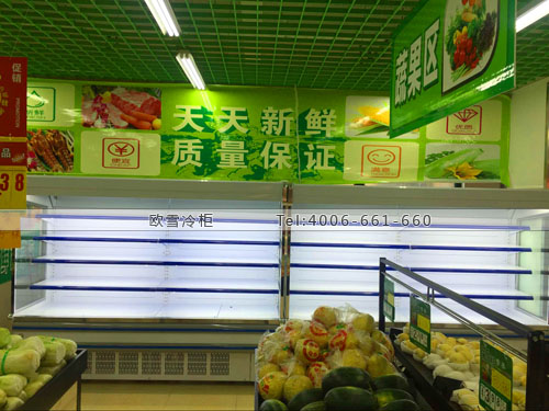 B601廣西省百色市靖西縣鼎福超市風幕柜