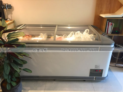 B621上海市浦東區(qū)正官牛進口牛肉臥式冷凍展示柜