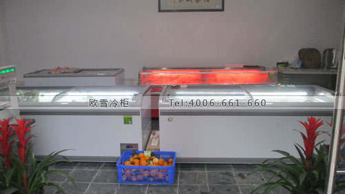 B739廣西省南寧市青秀區(qū)舊城人家生鮮超市冷柜