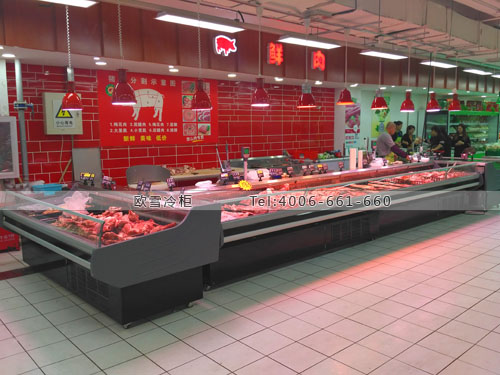 B678北京市豐臺(tái)區(qū)世紀(jì)家家福生活廣場(chǎng)冰柜