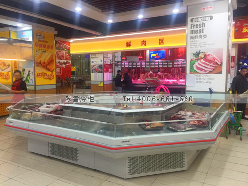 B691重慶市江津區(qū)大潤發(fā)超市冷柜