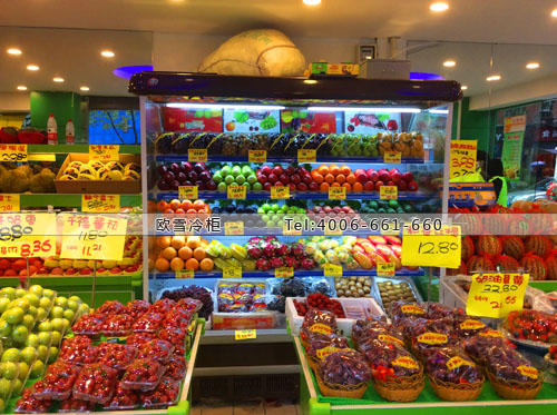 B590湖北省武漢市清山區(qū)創(chuàng)鮮水果保鮮柜