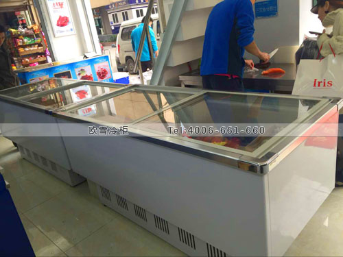 B692四川省成都市南春實(shí)業(yè)海鮮臥式冷凍展示柜