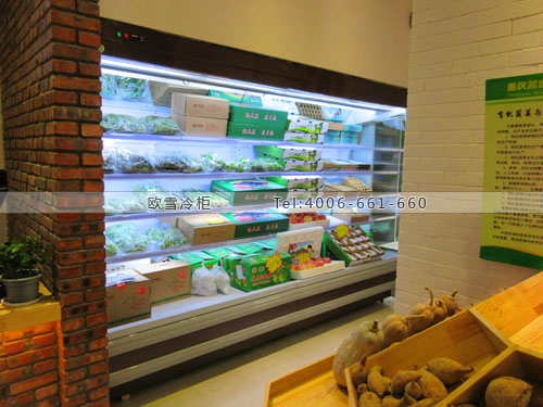 B672重慶市渝北區(qū)有芽農(nóng)場生活水果冷藏柜