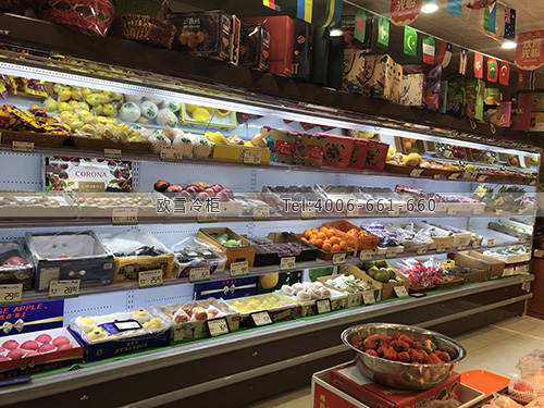 B729江蘇省蘇州市吳江區(qū)天天鮮果水果冷藏柜