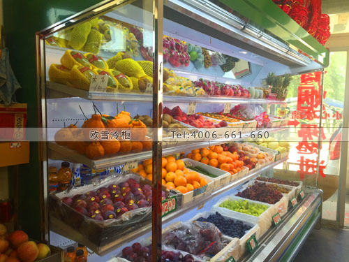 B597浙江省湖州市吳興區(qū)隆偉平價(jià)水果超市風(fēng)幕柜